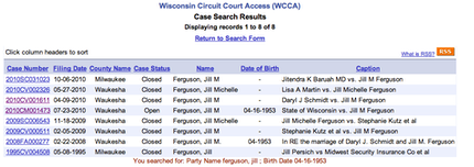 Schmidt v. Feguson Divorce